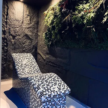 Mozaik & - Modern 4-star With Exclusive Private Wellness In The Center - Sauna, Jacuzzi, Turkish Bath - Free Parking, Wi-fi - &